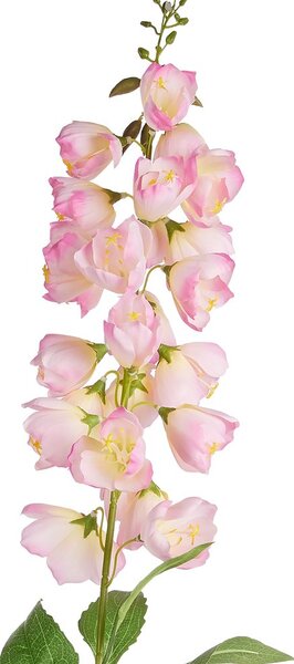 FLORISTA harangvirág 97 cm, rózsaszín