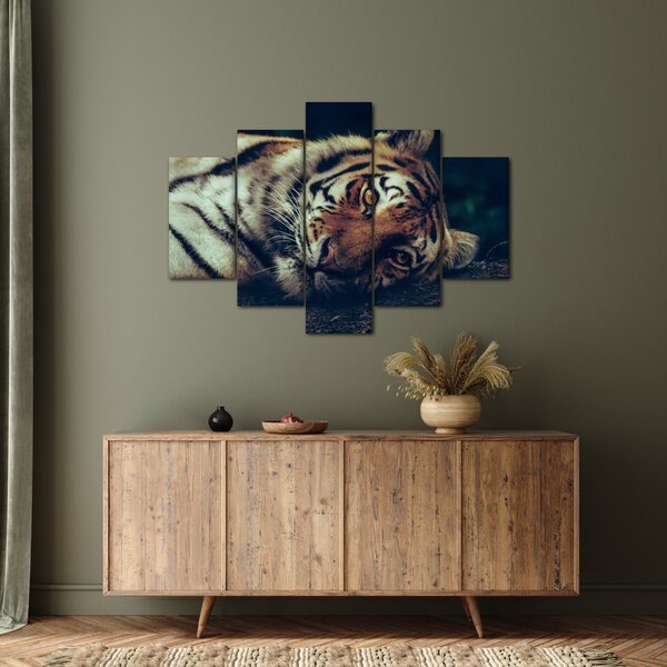 Kép - Szibériai tigris (150x105 cm)