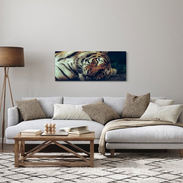 Kép - Szibériai tigris (120x50 cm)