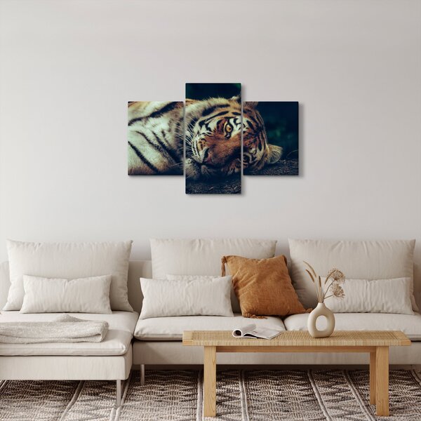 Kép - Szibériai tigris (90x60 cm)