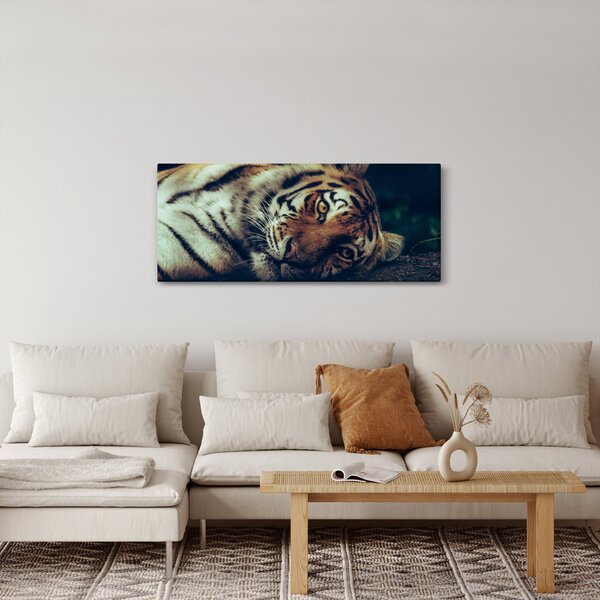 Kép - Szibériai tigris (120x50 cm)