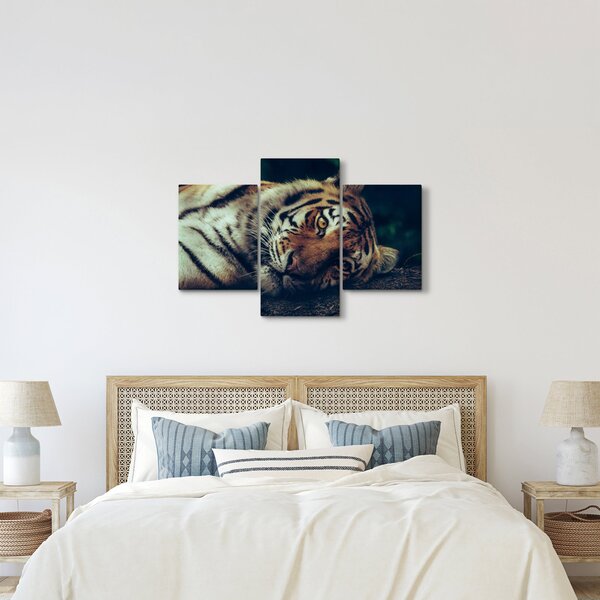 Kép - Szibériai tigris (90x60 cm)