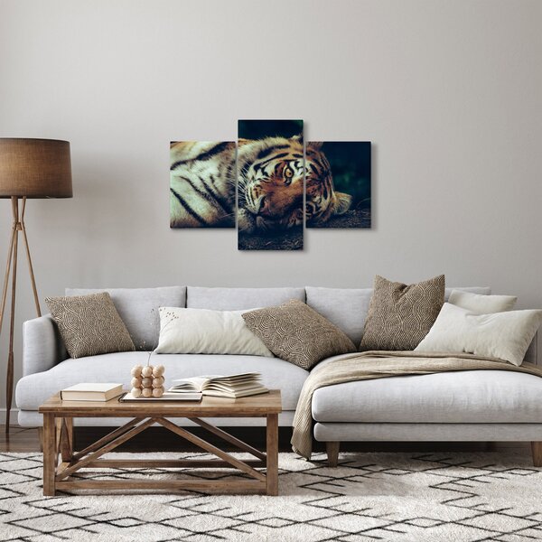 Kép - Szibériai tigris (90x60 cm)