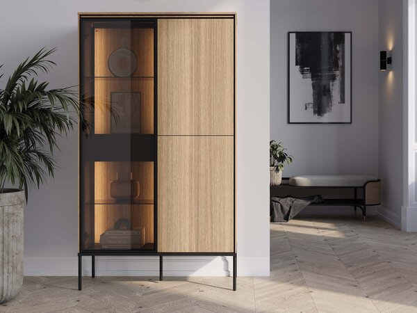 VISSO 2D1W vitrines szekrény LED világítással