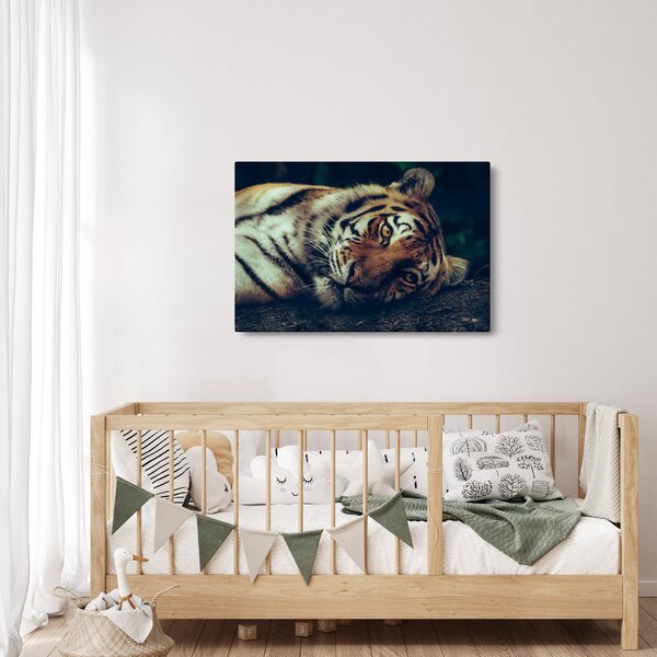 Kép - Szibériai tigris (90x60 cm)