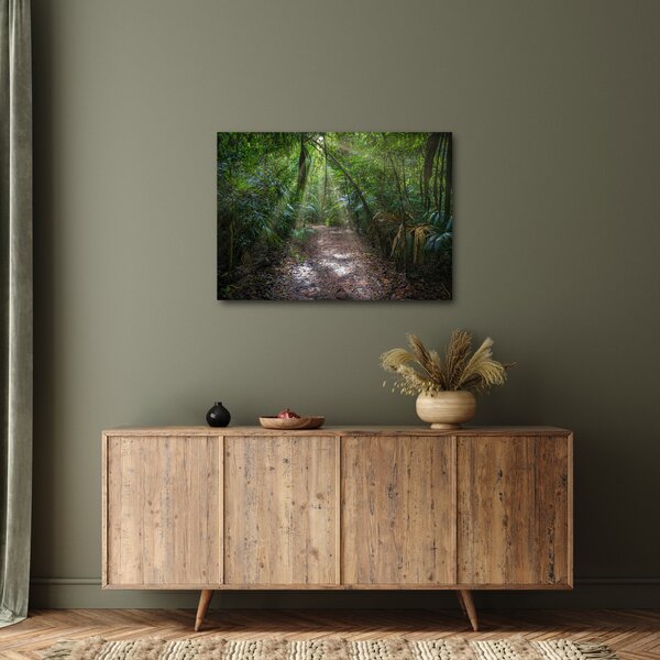Kép - Napsugarak a dzsungelben (70x50 cm)