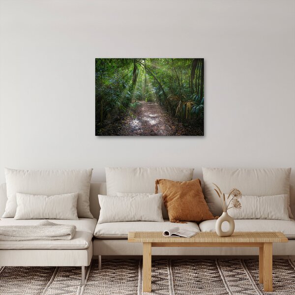 Kép - Napsugarak a dzsungelben (70x50 cm)