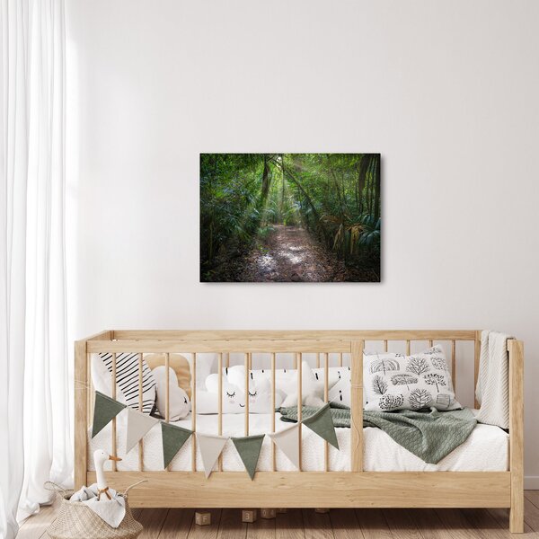 Kép - Napsugarak a dzsungelben (70x50 cm)