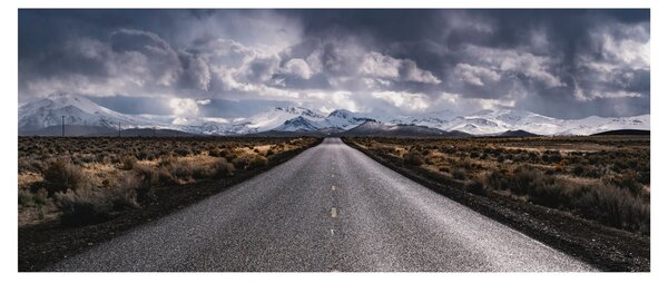 Az út képe a sivatagban (120x50 cm)