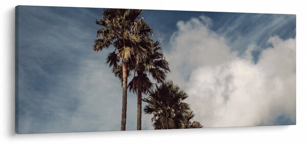 Kép - Pálma dráma (120x50 cm)