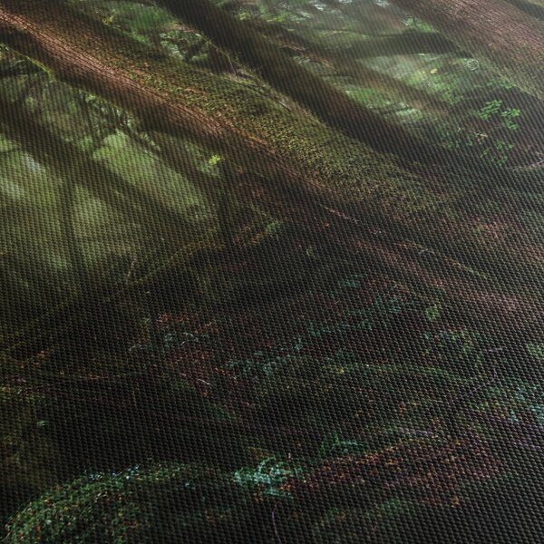 Kép - Titokzatos erdő (120x50 cm)