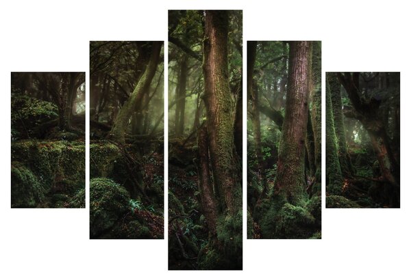 Kép - Titokzatos erdő (150x105 cm)