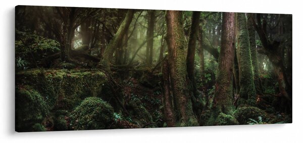 Kép - Titokzatos erdő (120x50 cm)