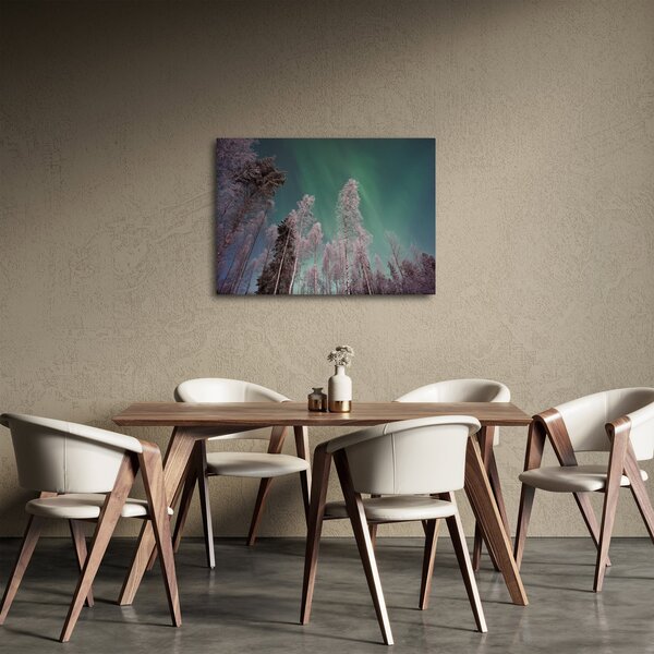 Az aurora borealis képe fagyos fák felett (70x50 cm)