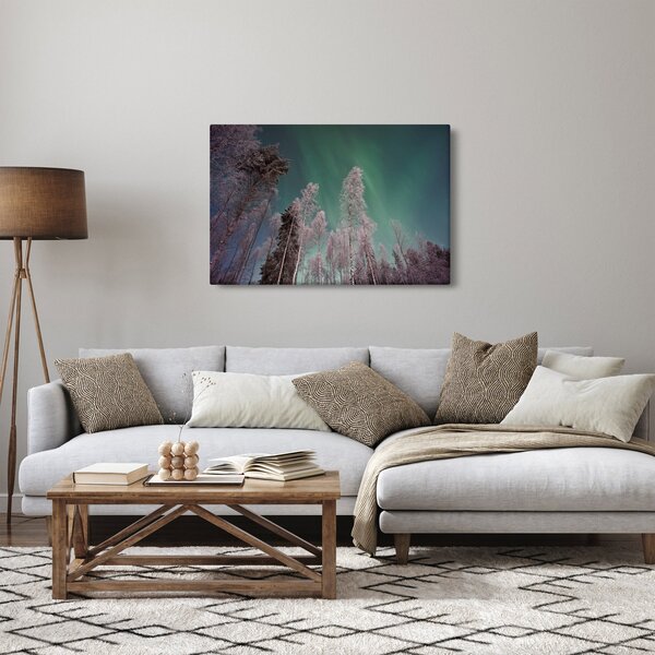 Az aurora borealis képe fagyos fák felett (90x60 cm)