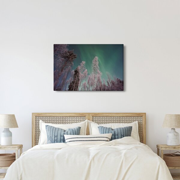 Az aurora borealis képe fagyos fák felett (90x60 cm)