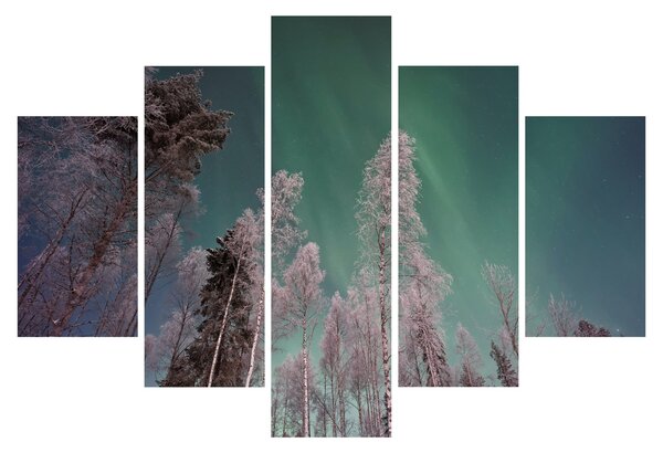 Az aurora borealis képe fagyos fák felett (150x105 cm)
