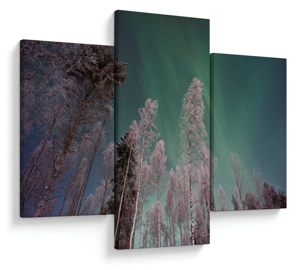 Az aurora borealis képe fagyos fák felett (90x60 cm)