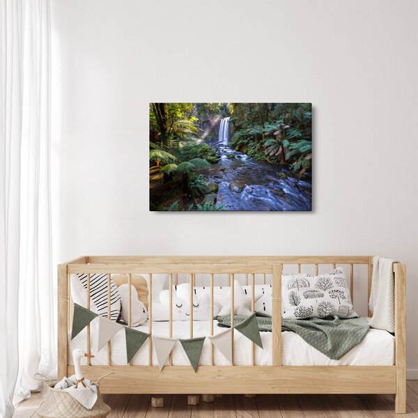 Ausztrál esőerdő képe (90x60 cm)