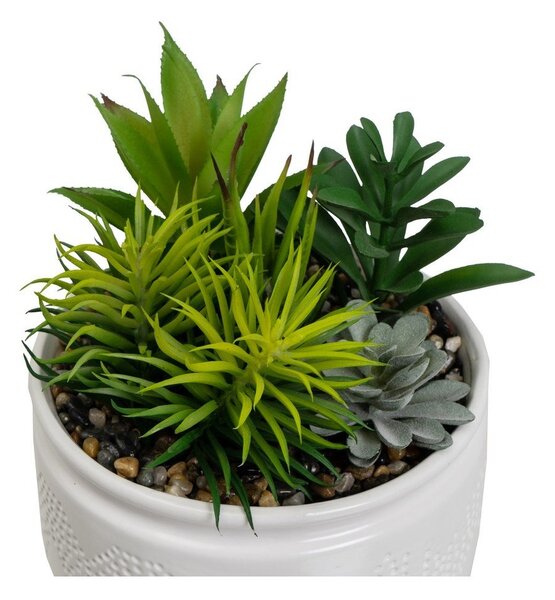 Műnövény szett 2 db-os (magasság 19 cm) Cactus – Casa Selección