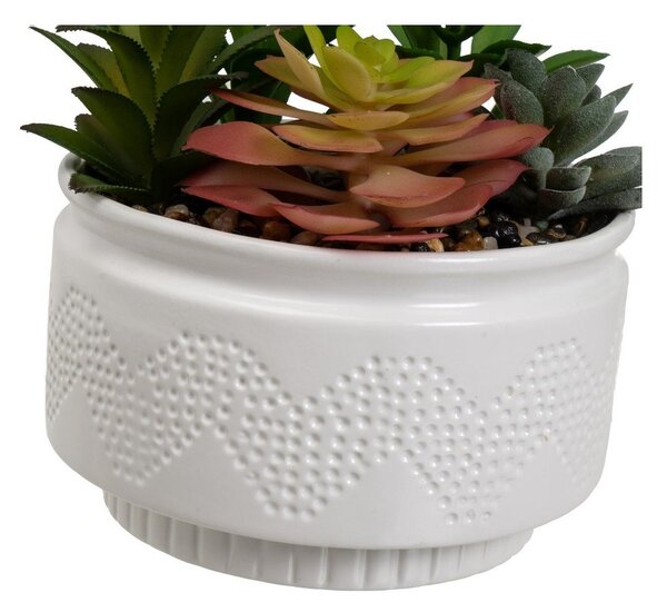 Műnövény szett 2 db-os (magasság 19 cm) Cactus – Casa Selección