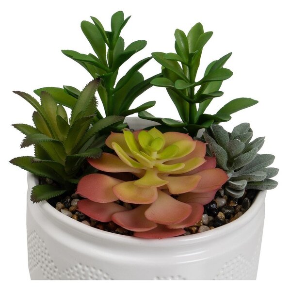 Műnövény szett 2 db-os (magasság 19 cm) Cactus – Casa Selección