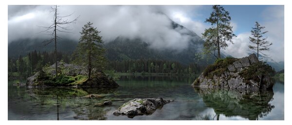 Fák a tóban képe (120x50 cm)