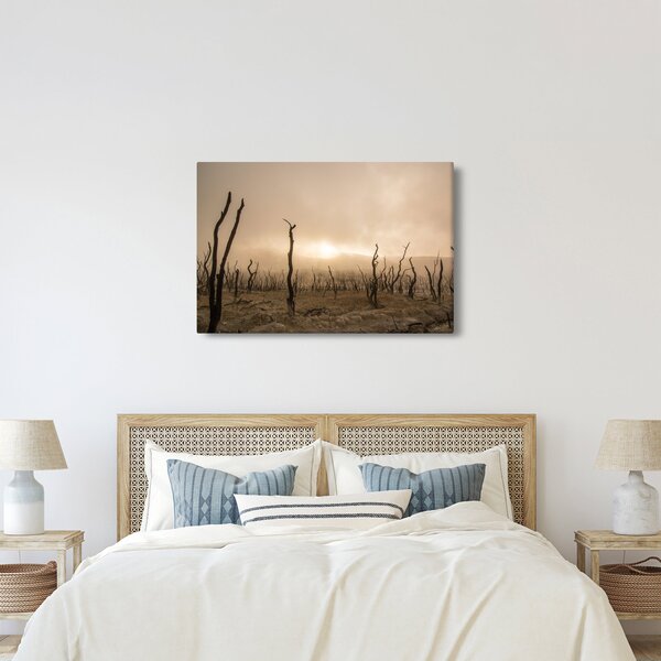 Kép - Csupasz fák (90x60 cm)