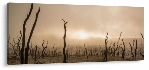 Kép - Csupasz fák (120x50 cm)