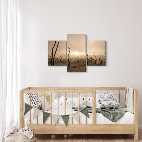 Kép - Csupasz fák (90x60 cm)