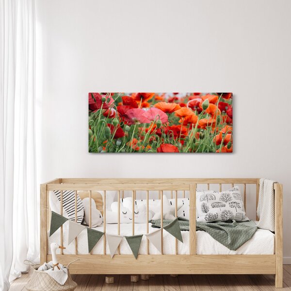 Egy kép a pipacs mezőről (120x50 cm)