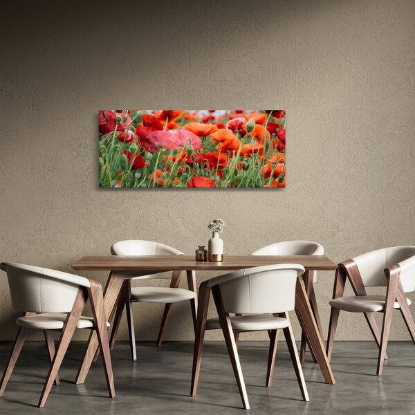Egy kép a pipacs mezőről (120x50 cm)