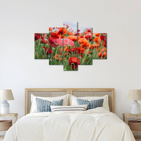 Egy kép a pipacs mezőről (150x105 cm)
