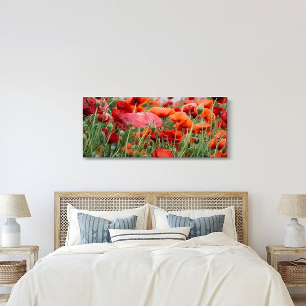 Egy kép a pipacs mezőről (120x50 cm)