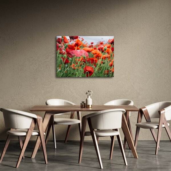 Egy kép a pipacs mezőről (70x50 cm)