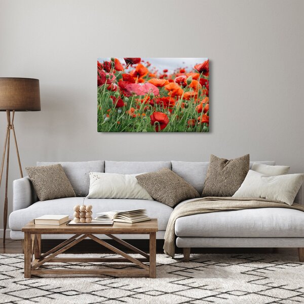 Egy kép a pipacs mezőről (90x60 cm)