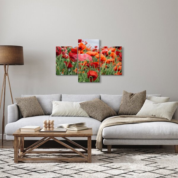 Egy kép a pipacs mezőről (90x60 cm)