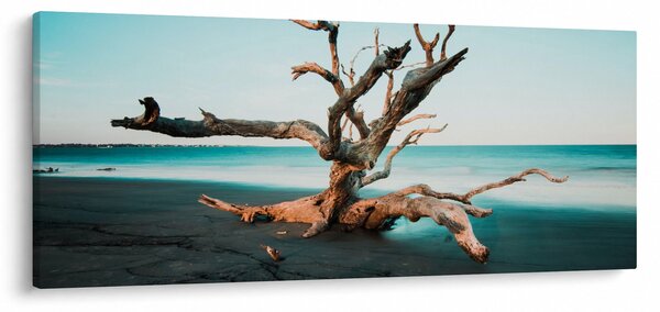 Kép - Úszó a tengerparton (120x50 cm)