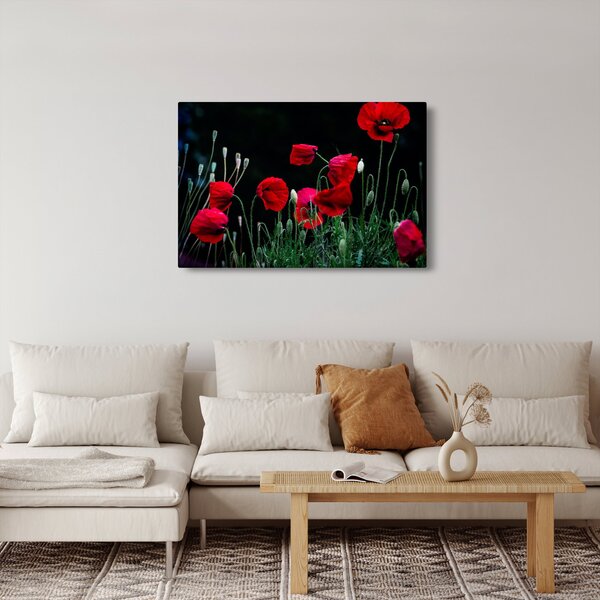 Kép - Pipacsok tánca (90x60 cm)