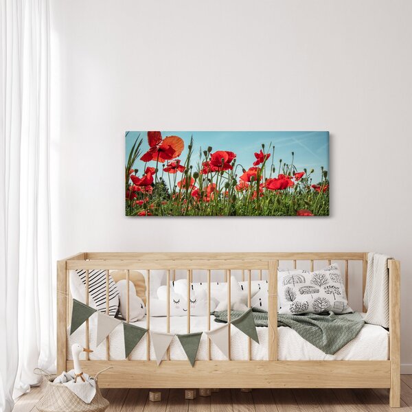 Kép - Pipacsos mező (120x50 cm)