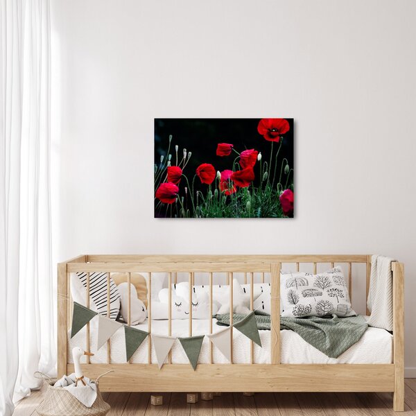 Kép - Pipacsok tánca (70x50 cm)