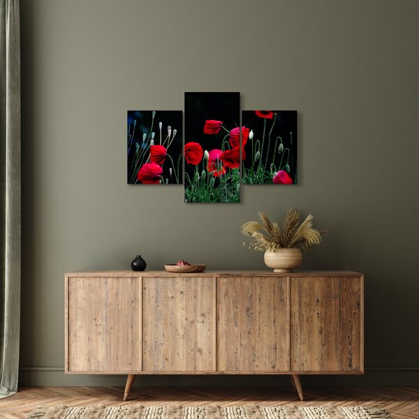 Kép - Pipacsok tánca (90x60 cm)