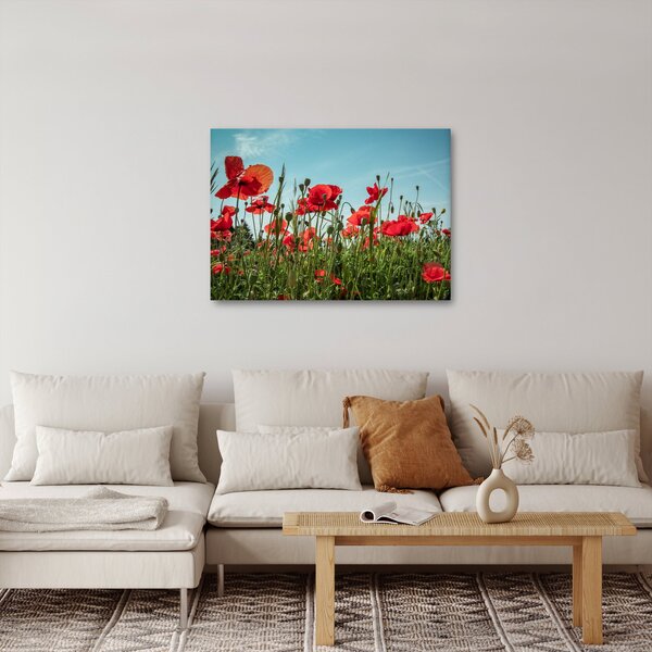 Kép - Pipacsos mező (70x50 cm)