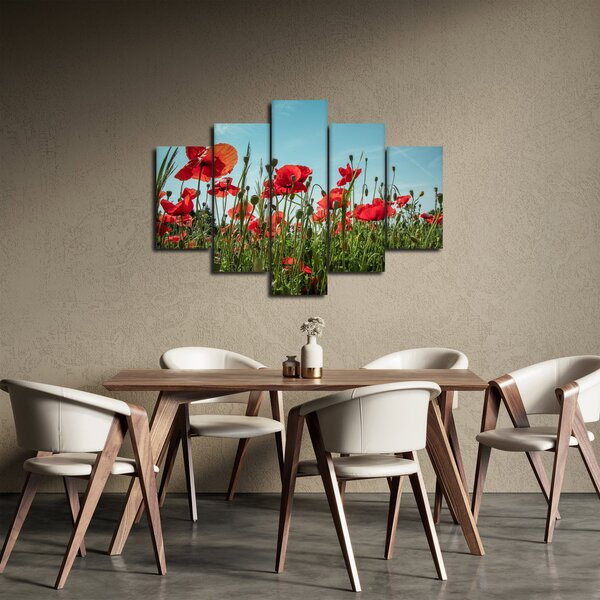 Kép - Pipacsos mező (150x105 cm)