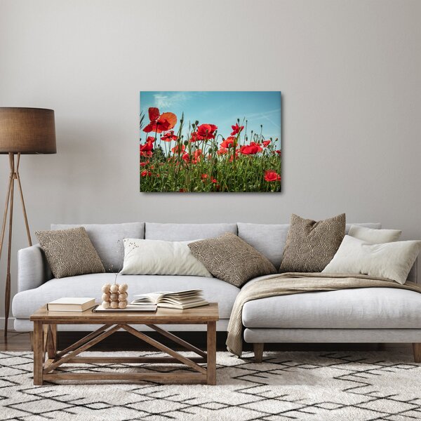 Kép - Pipacsos mező (70x50 cm)