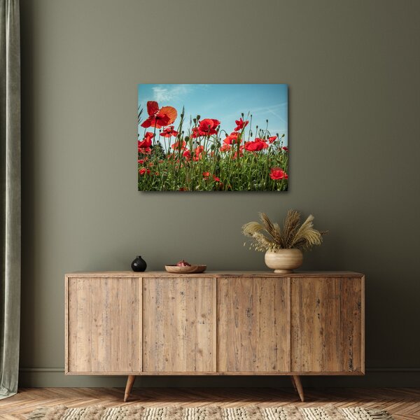 Kép - Pipacsos mező (70x50 cm)