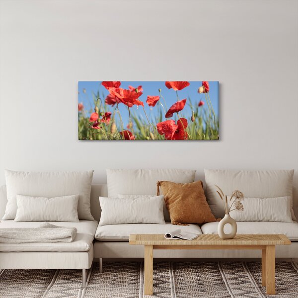 Kép - Pipacsok (120x50 cm)