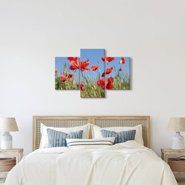 Kép - Pipacsok (90x60 cm)