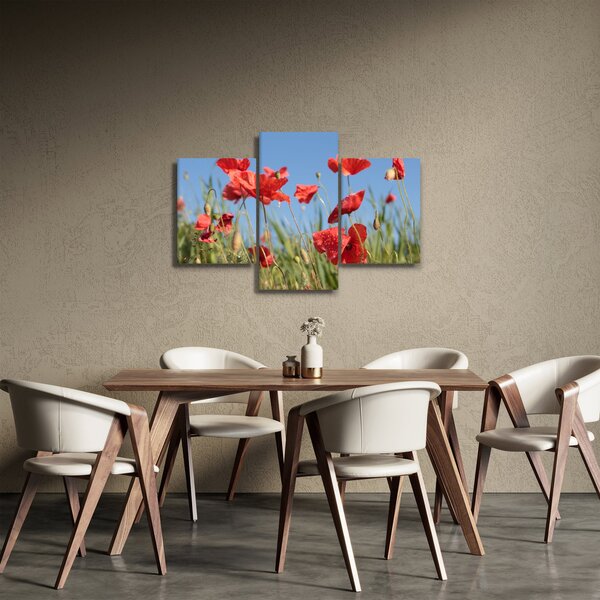 Kép - Pipacsok (90x60 cm)