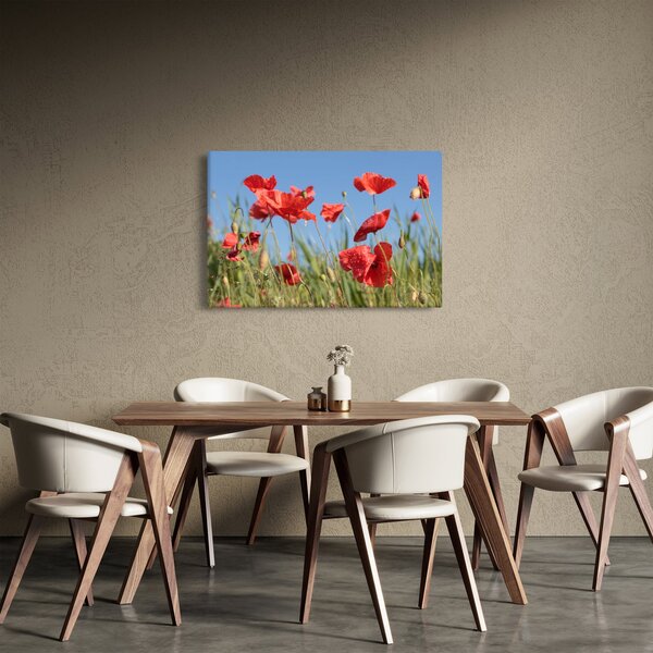 Kép - Pipacsok (90x60 cm)